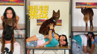 与宠物一起摆出随机造型，第一组的狗屁股太美了！