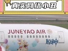 Genshin Impact: Máy chơi game đau đớn bị “hắc tử” nguyền rủa nên bị treo máy? Đây mới là kẻ hề mạng 