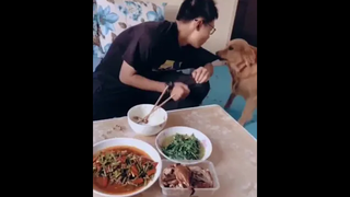 กินด้วย