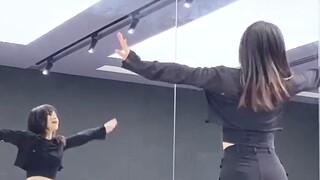 【Miyuki】GARNiDELiA-Singing Romance| Mirror Dance Remake Silver Hair Position