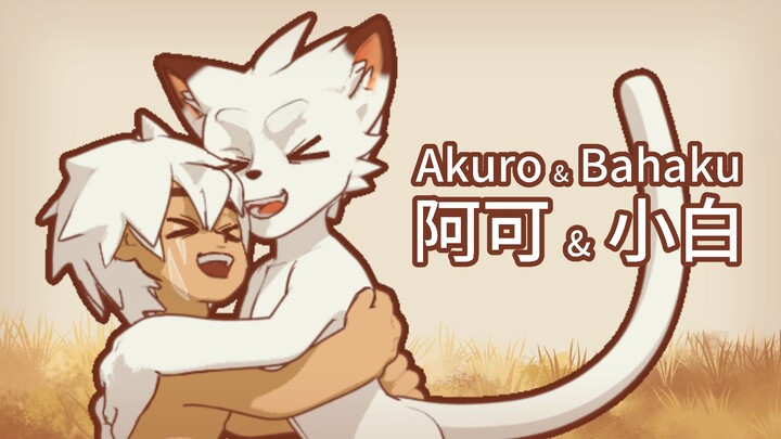 阿可 & 小白