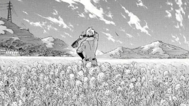 “Returning to the countryside and returning to peace is the best choice”