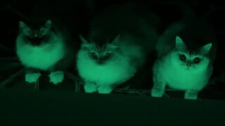 When I installed an ambient light next to the bed...