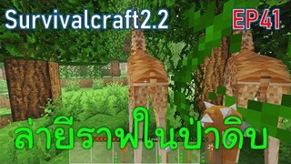 ล่ายีราฟในป่าดงดิบ สุดท้ายหลงป่า | survivalcraft2.2 EP41 [พี่อู๊ด JUB TV]