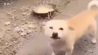 Good morning, students!