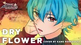 Dry Flower - Yuuri Cover by Kaneros