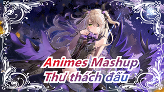 Thư thách đấu những kẻ mạnh trên thế giới|Kết hợp, các Anime|mượt|Hoành tráng|Animes Mashup