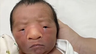 ربما تكون قبيحة عندما تكون صغيرة، لكنها ستصبح جميلة عندما تكبر.
