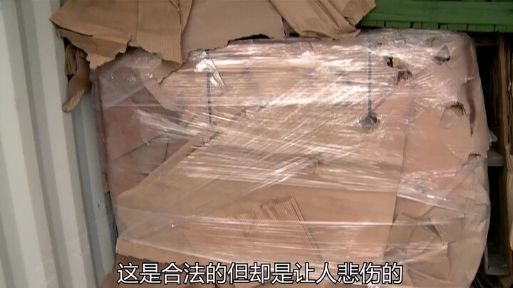 Mengira kontainer China itu mahal, ternyata Mas Botak malah kena tipu habis-habisan!