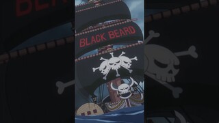 Barba Negra vs Law vai Começar! | One Piece #shorts