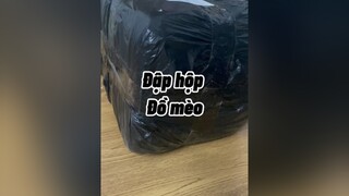 Móng tay bà ngoại hơi bẩn tại mới dọn nhà huhu cat mèo cute