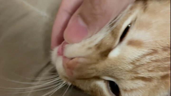 Who knew Hakimi would blow hot air at you like that? It’s a whole different story when it’s me! (Ret