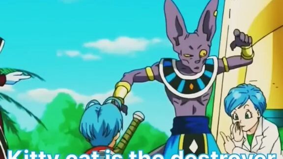 beerus-sama is confused 🤔