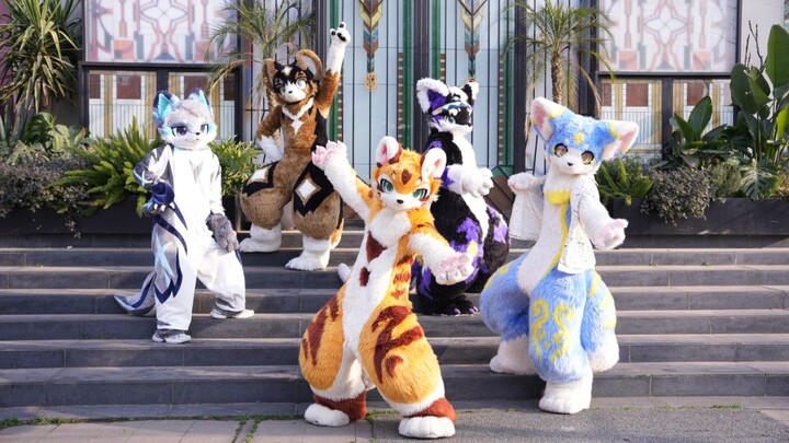 【Fursuit Dance Spotlight】Take Me to Pluck the Brilliant Starlight!