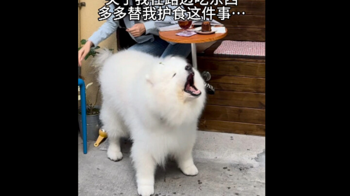 - -How am I supposed to explain this to it? Passersby aren’t going to snatch my food… Loud-mouthed c