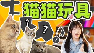 Kok kucing bisa selucu ini? Mainan untuk kucing
