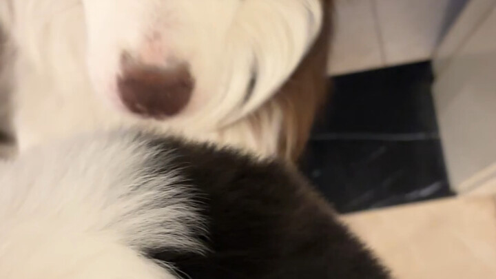 When My Kid Meets His Kid for the First Time