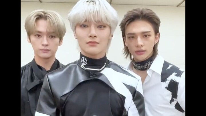 [Stray Kids] Japan’s First Platinum Anniversary | TikTok Update