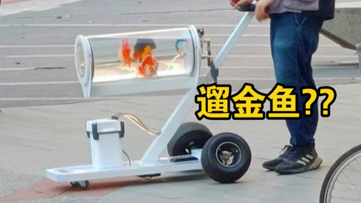 “Taiwanese People’s Zoo in the Park”