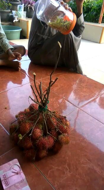 makan rambutan time