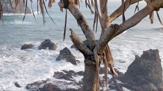 From Garut to Pantai Karangtawulan Kab. Tasikmalaya