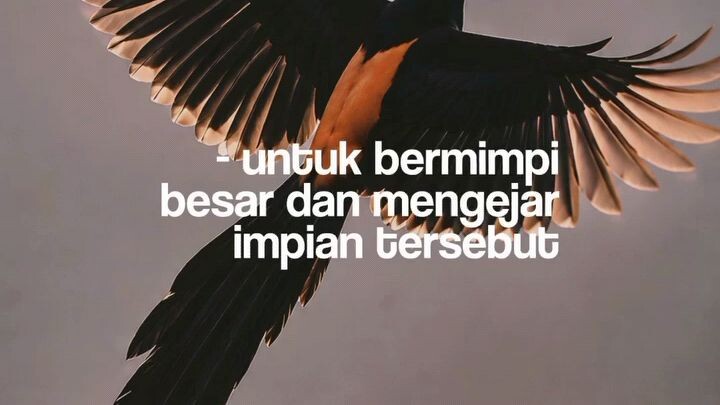 bermimpilah