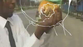 [金緷拉] Siêu Railgun khoa học