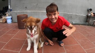 Hưng Troll _ Mua Quần Áo Mới Cho Ngáo Alaska