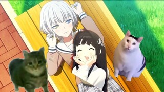 Lenai wakes up and sees all kinds of cats