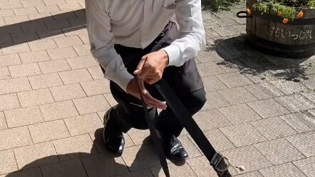 Nhật Bản Hạo Kinh