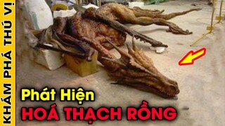 🔥 Phát Hiện Hoá Thạch Rồng Còn Nguyên Vẹn Và 9 Thứ Bí Ẩn Được Các Nhà Khoa Học Tìm Thấy | KPTV