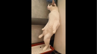 Unheard-of pooping posture