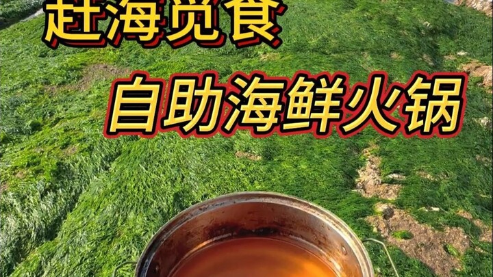 Why eat seafood buffet when you can eat it right in the sea? Off work and back for another feast!