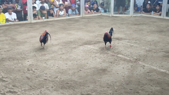 First Fight#1