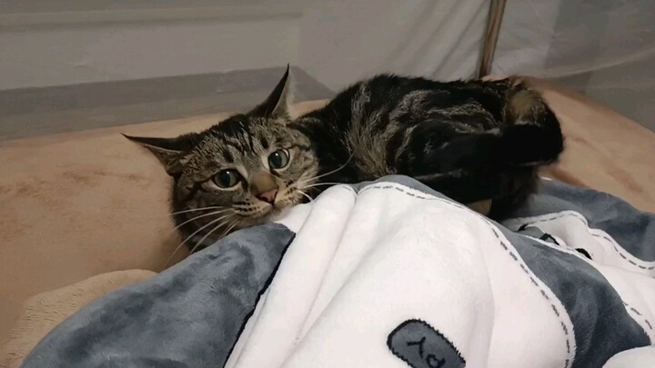 “เค้าแค่อยากนอนกับเธอเท่านั้นเอง…”