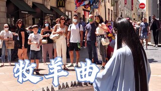 国外街头，古筝演奏《牧羊曲》，这浓浓的中国风，画面有了～日出嵩山坳，晨钟惊飞鸟。