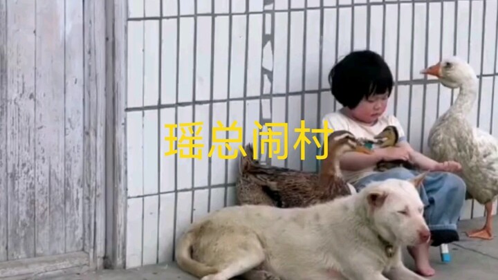 Whether the village is chaotic or not is up to Director Yao to decide.