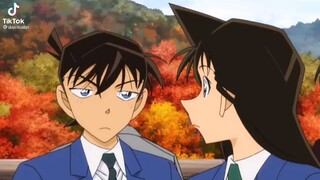 Shinichi and Ran