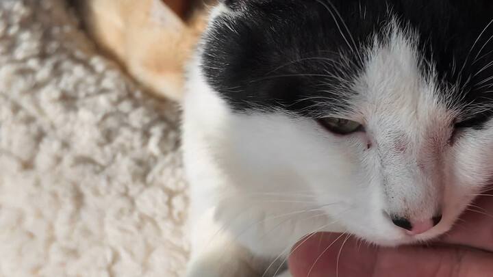 Chỉ là không xuất hiện trên camera, chứ không phải bị “gạch” nhé!