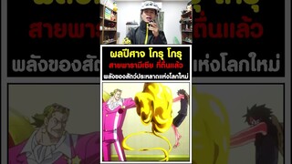 ผลปีศาจ โกรุ โกรุ สายพารามีเซีย ที่ตื่นแล้ว พลังของสัตว์ประหลาดแห่งโลกใหม่ - วันพีช [KOMNA CHANNEL]