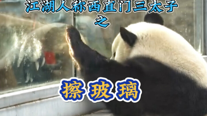 Menglan Can Clean Windows—Turns Out a Tourist Taught Her, and She’s Mastered It Perfectly! Window-Cl