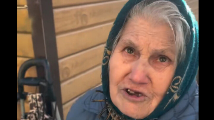 I wanna plant the shrubs I just bought.