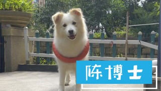 Cuộc sống thường ngày của Tiến sĩ Trần