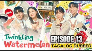 TWINKLING WATERMELON EPISODE 13 TAGALOG