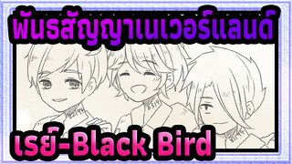 [พันธสัญญาเนเวอร์แลนด์/แอนิเมติก] เรย์-Black Bird, Spoiler alert