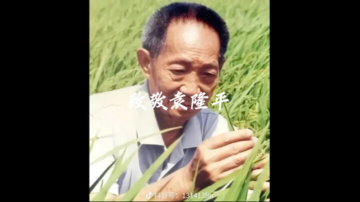 Minecraft: Mod Paying Tribute to Yuan Longping #Hybrid Rice Has Brought Us a World Without Hunger#In