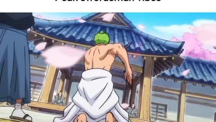 ZORO VS WANO SAMURAI