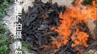 The Scavenger: Burning with fire? What kind of living Yama is this?