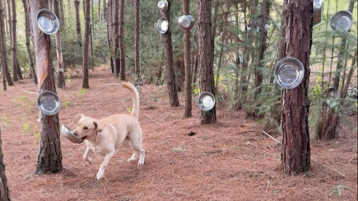 ทำอาหารกลางแจ้ง