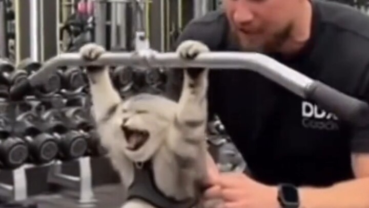 ⚡⚡Torturing oneself with relentless effort—just look at that silly guy glowing with intensity!⚡⚡